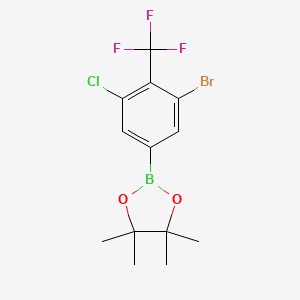 molecular formula C13H14BBrClF3O2 B13667956 3-Bromo-5-chloro-4-(trifluoromethyl)phenylboronic Acid Pinacol Ester 