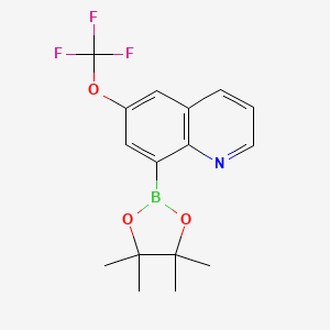 molecular formula C16H17BF3NO3 B13670065 8-(4,4,5,5-Tetramethyl-1,3,2-dioxaborolan-2-yl)-6-(trifluoromethoxy)quinoline 