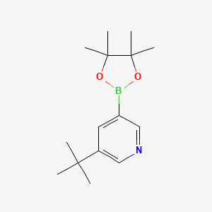 molecular formula C15H24BNO2 B13673560 3-(tert-Butyl)-5-(4,4,5,5-tetramethyl-1,3,2-dioxaborolan-2-yl)pyridine 