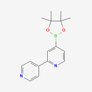 molecular formula C16H19BN2O2 B13673857 2-(4-Pyridyl)pyridine-4-boronic acid pinacol ester 