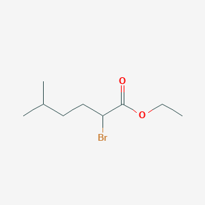 molecular formula C9H17BrO2 B13674523 Ethyl 2-bromo-5-methylhexanoate CAS No. 51201-51-5
