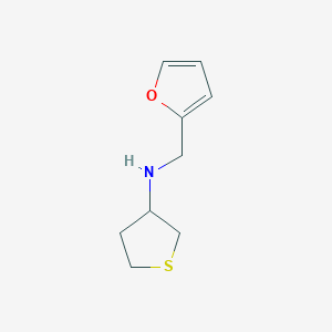 molecular formula C9H13NOS B1367986 N-(furan-2-ylmethyl)thiolan-3-amine 