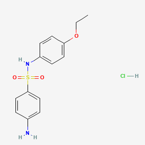 molecular formula C14H17ClN2O3S B1369111 4-amino-N-(4-ethoxyphenyl)benzenesulfonamide hydrochloride 