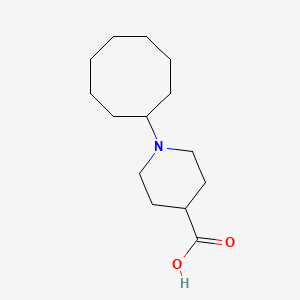 1-Cyclooctylpiperidine-4-carboxylic acid