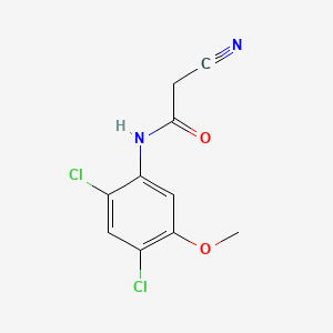 molecular formula C10H8Cl2N2O2 B1369445 2-Cyano-N-(2,4-dichloro-5-methoxyphenyl)acetamide CAS No. 846023-24-3