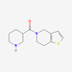 molecular formula C13H18N2OS B1369831 3-{4H,5H,6H,7H-Thieno[3,2-C]pyridin-5-ylcarbonyl}piperidine 