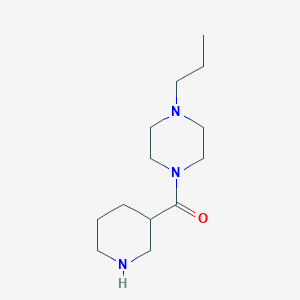 molecular formula C13H25N3O B1369840 1-(Piperidine-3-carbonyl)-4-propylpiperazine 