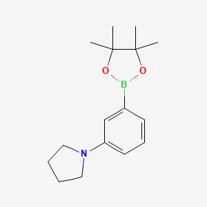 molecular formula C16H24BNO2 B1369918 1-[3-(4,4,5,5-Tetramethyl-1,3,2-dioxaborolan-2-yl)phenyl]pyrrolidine CAS No. 857283-63-7