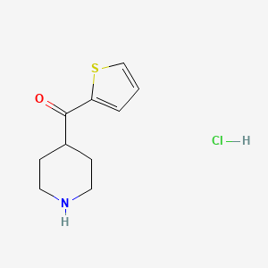 molecular formula C10H14ClNOS B1369986 哌啶-4-基（噻吩-2-基）甲烷酮盐酸盐 CAS No. 219540-76-8