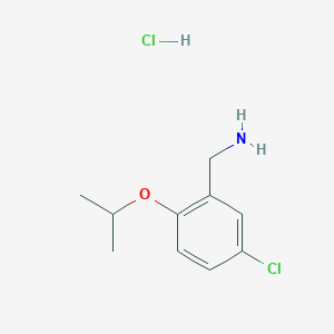 molecular formula C10H15Cl2NO B1370541 (5-Chloro-2-isopropoxyphenyl)methanamine hydrochloride CAS No. 1135292-94-2
