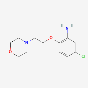 molecular formula C12H17ClN2O2 B1370670 5-Chloro-2-[2-(4-morpholinyl)ethoxy]phenylamine CAS No. 893751-35-4