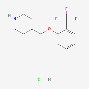 molecular formula C13H17ClF3NO B1370834 4-{[2-(Trifluoromethyl)phenoxy]methyl}piperidine hydrochloride CAS No. 614731-26-9