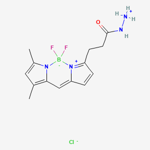 molecular formula C14H18BClF2N4O B13708437 BDP FL hydrazide 