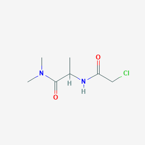 B1371088 2-(2-chloroacetamido)-N,N-dimethylpropanamide CAS No. 1218689-32-7