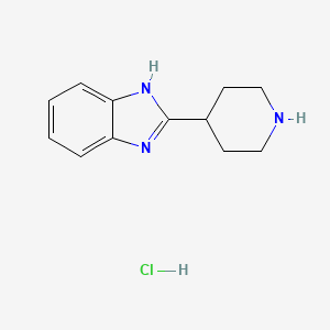 molecular formula C12H16ClN3 B1371163 2-Piperidin-4-YL-1H-benzoimidazole hydrochloride CAS No. 824403-74-9