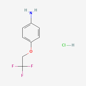 4-(2,2,2-Trifluoroethoxy)aniline hydrochloride