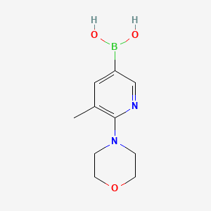(5-Methyl-6-morpholinopyridin-3-yl)boronic acid