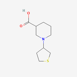 molecular formula C10H17NO2S B1371322 1-(Thiolan-3-yl)piperidine-3-carboxylic acid 