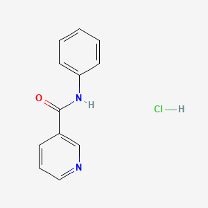 molecular formula C12H11ClN2O B1371447 N-Phenylnicotinamide Hydrochloride CAS No. 69135-90-6