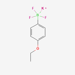 molecular formula C8H9BF3KO B1371543 Potassium (4-ethoxyphenyl)trifluoroborate CAS No. 850623-60-8