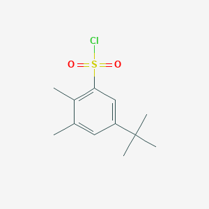 molecular formula C12H17ClO2S B1371581 5-叔丁基-2,3-二甲基苯磺酰氯 CAS No. 339370-16-0