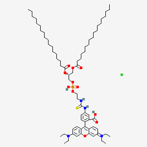 molecular formula C70H112ClN4O11PS B13716685 DSPE-Rhodamine 