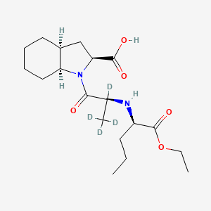 molecular formula C19H32N2O5 B13716869 (1R)-Perindopril-d4 