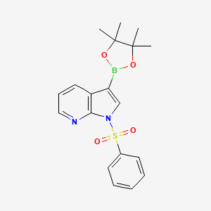 molecular formula C19H21BN2O4S B1371695 1-(Phenylsulfonyl)-3-(4,4,5,5-tetramethyl-1,3,2-dioxaborolan-2-yl)pyrrolo[2,3-b]pyridine CAS No. 886547-94-0