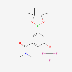 molecular formula C18H25BF3NO4 B13717171 N,N-diethyl-3-(4,4,5,5-tetramethyl-1,3,2-dioxaborolan-2-yl)-5-(trifluoromethoxy)benzamide 