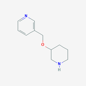 molecular formula C11H16N2O B1371718 3-[(Piperidin-3-yloxy)methyl]pyridine CAS No. 933758-64-6