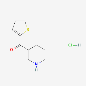 molecular formula C10H14ClNOS B1371733 3-Piperidinyl(2-thienyl)methanone hydrochloride CAS No. 1185364-37-7