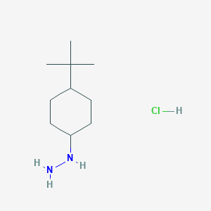 molecular formula C10H23ClN2 B1371780 (4-Tert-butylcyclohexyl)hydrazine hydrochloride 