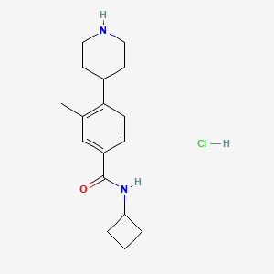 molecular formula C17H25ClN2O B13718202 N-cyclobutyl-3-methyl-4-(piperidin-4-yl)benzamide hydrochloride 