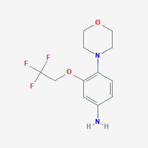 molecular formula C12H15F3N2O2 B13718344 4-Morpholino-3-(2,2,2-trifluoroethoxy)aniline 