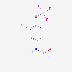 molecular formula C9H7BrF3NO2 B1372132 3'-Bromo-4'-(trifluoromethoxy)acetanilide CAS No. 755030-17-2