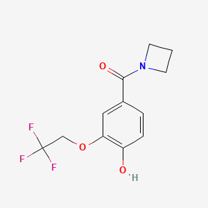 molecular formula C12H12F3NO3 B13721596 Azetidin-1-yl-[4-hydroxy-3-(2,2,2-trifluoro-ethoxy)-phenyl]-methanone 