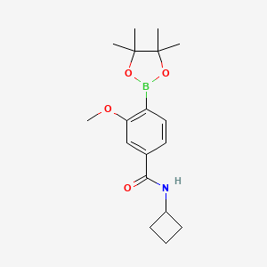 molecular formula C18H26BNO4 B13721675 N-Cyclobutyl-3-methoxy-4-(4,4,5,5-tetramethyl-1,3,2-dioxaborolan-2-yl)benzamide 