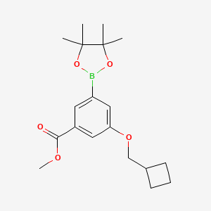 molecular formula C19H27BO5 B13722312 Methyl 3-(cyclobutylmethoxy)-5-(4,4,5,5-tetramethyl-1,3,2-dioxaborolan-2-yl)benzoate 