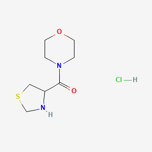 molecular formula C8H15ClN2O2S B1372288 4-(1,3-Thiazolidine-4-carbonyl)morpholine hydrochloride CAS No. 1078163-18-4