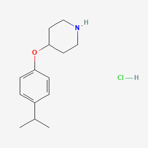 molecular formula C14H22ClNO B1372289 4-(4-Isopropylphenoxy)piperidine hydrochloride CAS No. 1173079-45-2
