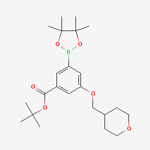 molecular formula C23H35BO6 B13724871 tert-Butyl 3-((tetrahydro-2H-pyran-4-yl)methoxy)-5-(4,4,5,5-tetramethyl-1,3,2-dioxaborolan-2-yl)benzoate 