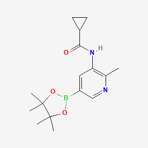molecular formula C16H23BN2O3 B13727173 Cyclopropanecarboxylic acid [2-methyl-5-(4,4,5,5-tetramethyl-[1,3,2]dioxaborolan-2-yl)-pyridin-3-yl]-amide 