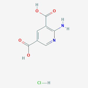 molecular formula C7H7ClN2O4 B1372754 2-氨基吡啶-3,5-二羧酸盐酸盐 CAS No. 1172443-67-2