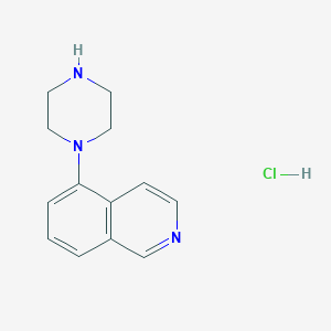 molecular formula C13H16ClN3 B1372756 5-(Piperazin-1-yl)isoquinoline hydrochloride CAS No. 209733-17-5