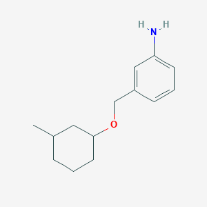 molecular formula C14H21NO B1372777 3-{[(3-Methylcyclohexyl)oxy]methyl}aniline CAS No. 1037157-93-9