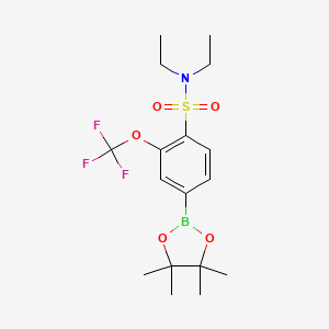molecular formula C17H25BF3NO5S B13728796 N,N-diethyl-4-(4,4,5,5-tetramethyl-1,3,2-dioxaborolan-2-yl)-2-(trifluoromethoxy)benzenesulfonamide 