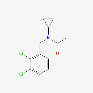 molecular formula C12H13Cl2NO B1373013 N-cyclopropyl-N-(2,3-dichlorobenzyl)acetamide CAS No. 1041439-18-2