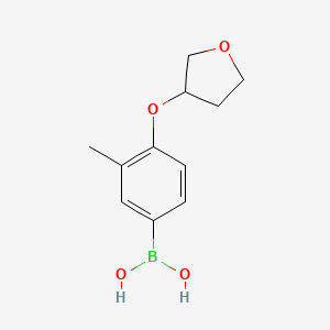 molecular formula C11H15BO4 B1373229 [3-Methyl-4-(oxolan-3-yloxy)phenyl]boronic acid CAS No. 1335234-29-1