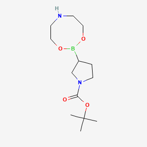 molecular formula C13H25BN2O4 B1373238 Tert-butyl 3-(1,3,6,2-dioxazaborocan-2-yl)pyrrolidine-1-carboxylate CAS No. 1072944-29-6