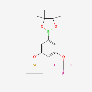 molecular formula C19H30BF3O4Si B1373243 3-(叔丁基二甲基甲硅氧基)-5-三氟甲氧基苯基硼酸，硼酸二乙酯 CAS No. 1150271-36-5
